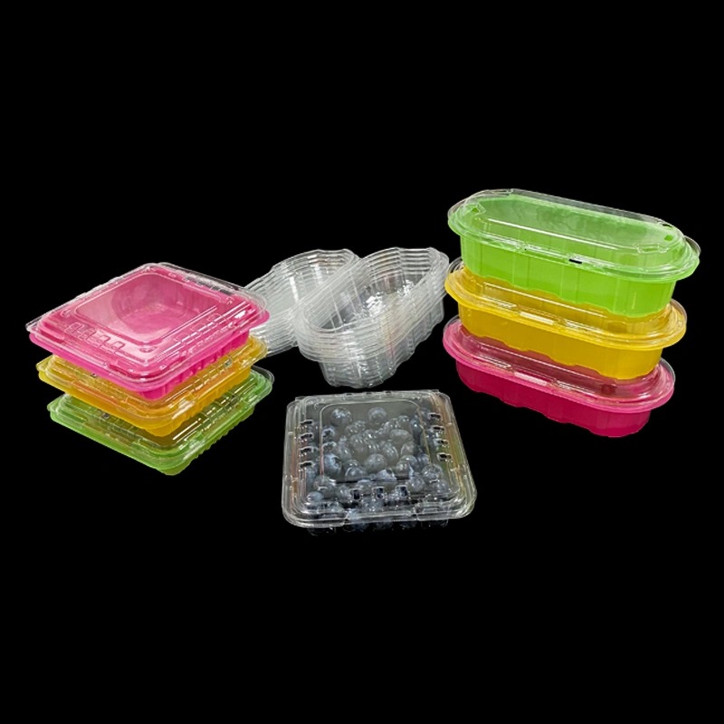 Vacuum Packaging Tray